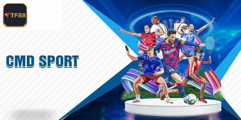 Bộ môn thể thao ưa chuộng