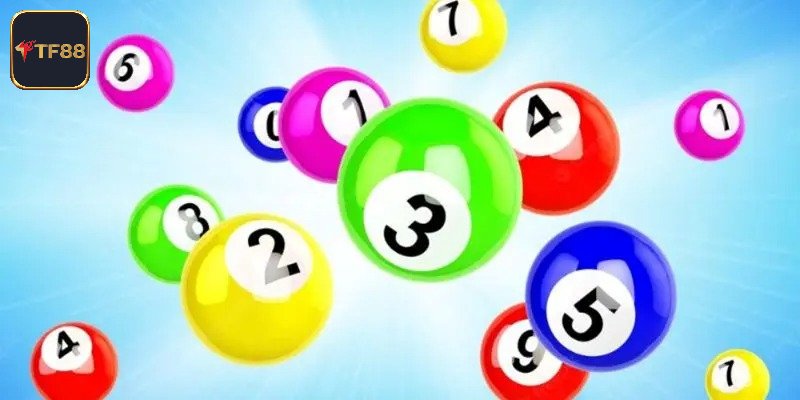 Có Nên Nuôi Lô Không - Góc Nhìn Từ TF88 Cho Người Chơi Lô Đề