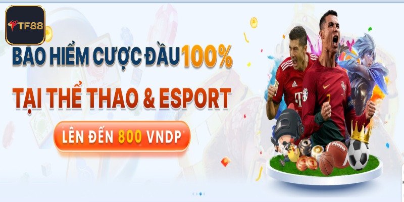 Khám phá nhân sự vận hành của nhà cái TF88