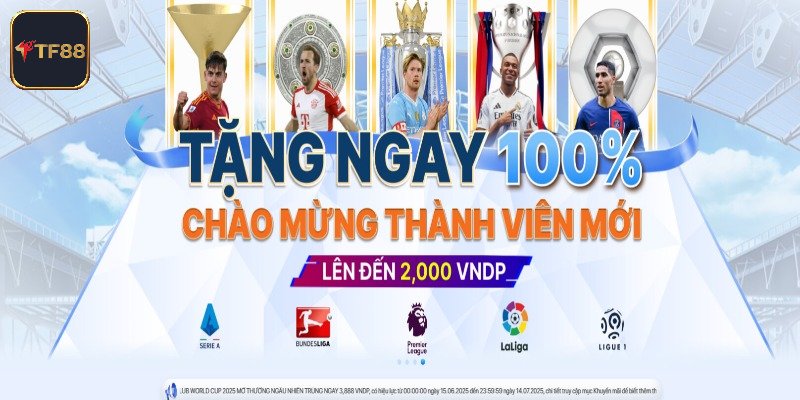 Tầm nhìn của TF88 trong tương lai