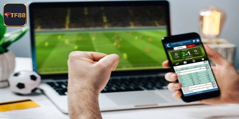 Tổng quát về sảnh TP trực tuyến