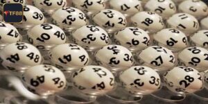 Xổ Số Hôm Nay - Cập Nhật Nhanh, Chính Xác Nhất Tại TF88