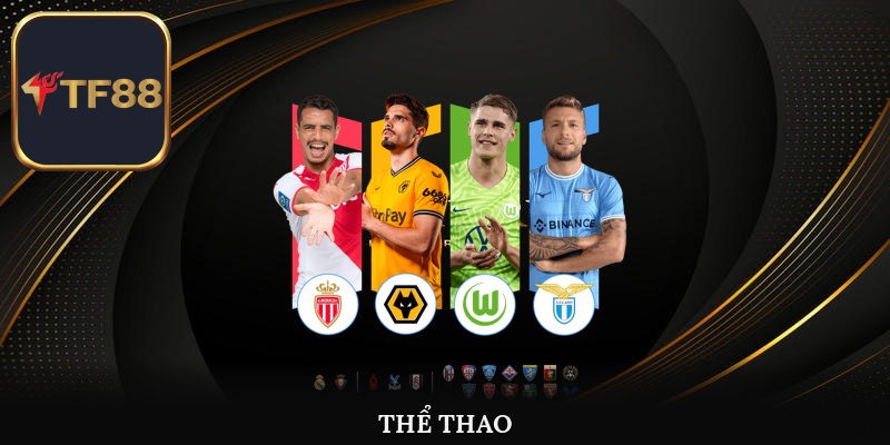 Cá độ thể thao online chuyên nghiệp tại nhà cái